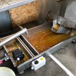 9 Sortie du miel de l'extracteur.jpeg